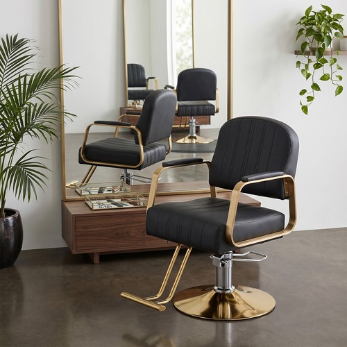 Salon barber chair luxury - salon,